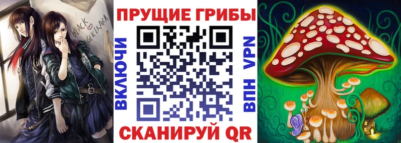Купить закладки  Хотьково  Галлюциногенные грибы мухоморы 